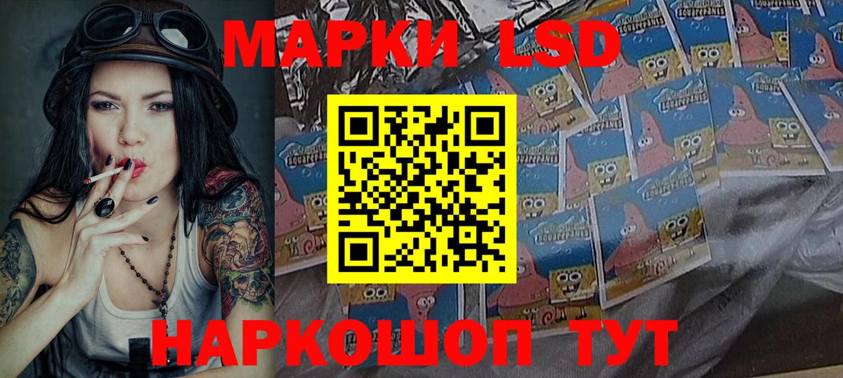 Вязники  где можно купить наркотик  Вход с VPN  Наркотические марки 1,8мг 