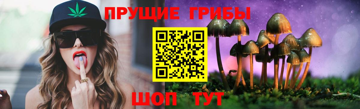 Псилоцибиновые грибы Psilocybine cubensis Вязники